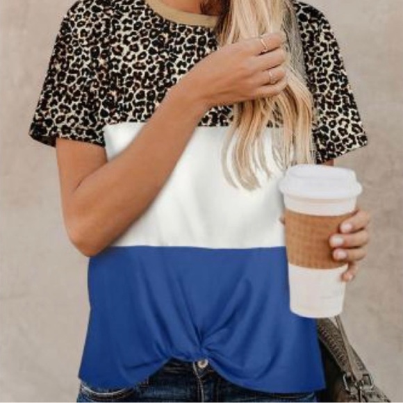 💼 Leopard Color Block Top ~ Short Sleeve - Picture 3 of 5
